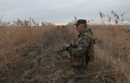 В Бабаюртовском районе проведен отстрел волков