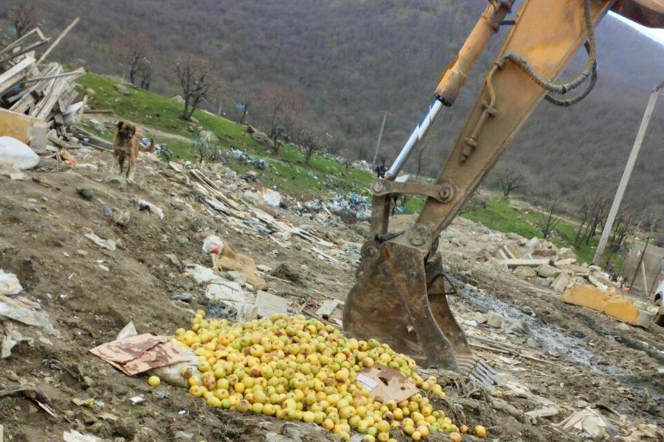 Яблочный фреш. В Дагестане уничтожено около полутора тонн польских яблок