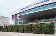 К борцовскому чемпионату завезли ростовскую травку