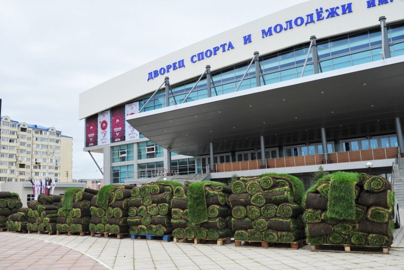 К борцовскому чемпионату завезли ростовскую травку