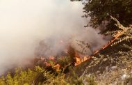 В Гумбетовском районе вспыхнул лесной пожар