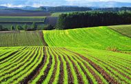 Автоматизированную базу данных сельхозземель создадут в Дагестане