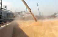 С начала года через махачкалинский порт в Иран отгружено более 300 тонн зерновых