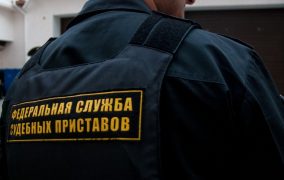 Приставы изъяли львицу у жителя Махачкалы