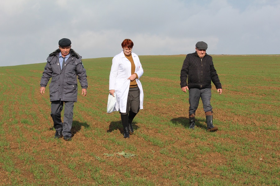 В Дагестане оштрафованы владельцы зараженных сорняком сельхозземель