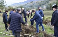Дагестан примет участие в программе «Сохранение лесов»