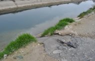 Власти Махачкалы два года не устраняли сток канализации в КОР
