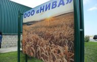 В Кизлярском районе открылся новый завод по производству риса