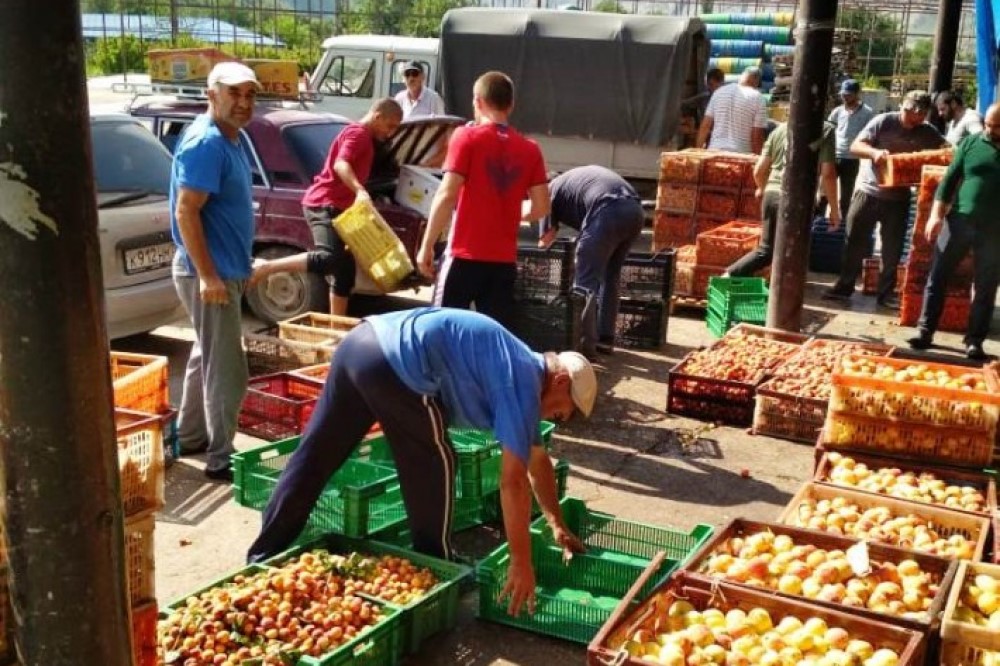 Минсельхоз Дагестана следит за переработкой плодов и овощей на предприятиях республики