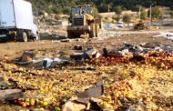 Еще около двух тонн санкционных яблок уничтожено в Дагестане