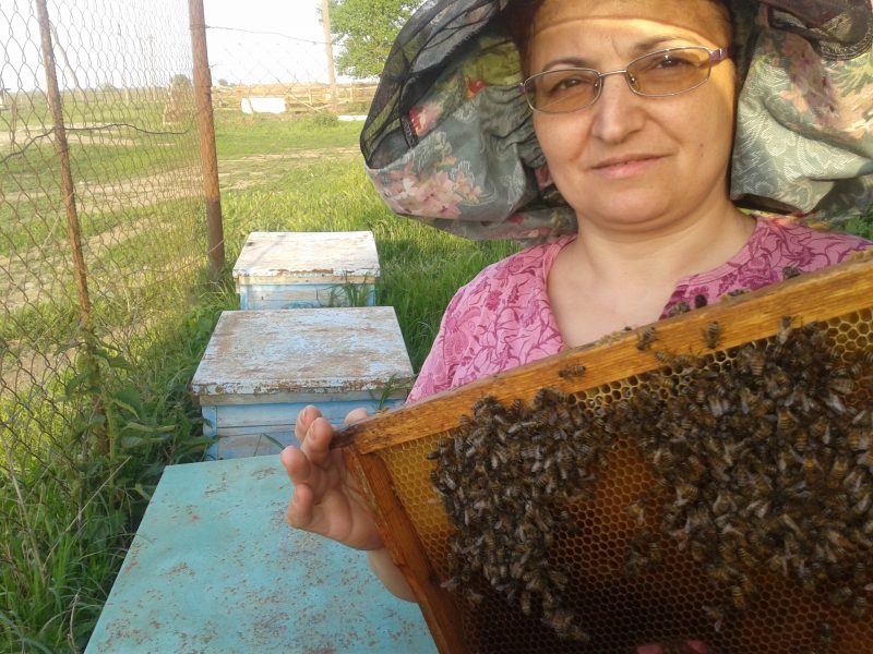 Магазин Для Пчеловодов В Краснодарском Крае