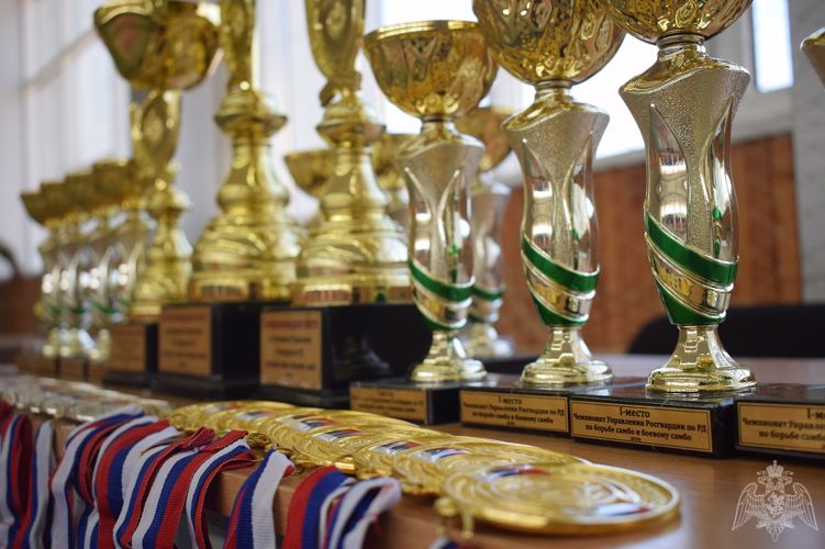 В Дагестане прошел чемпионат по боевому самбо среди росгвардейцев