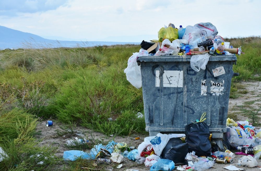 Разделяй и «ресайкли». Что в Дагестане делают с мусором
