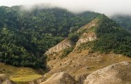Даглесхоз ограничил доступ в леса в 8 лесничествах республики