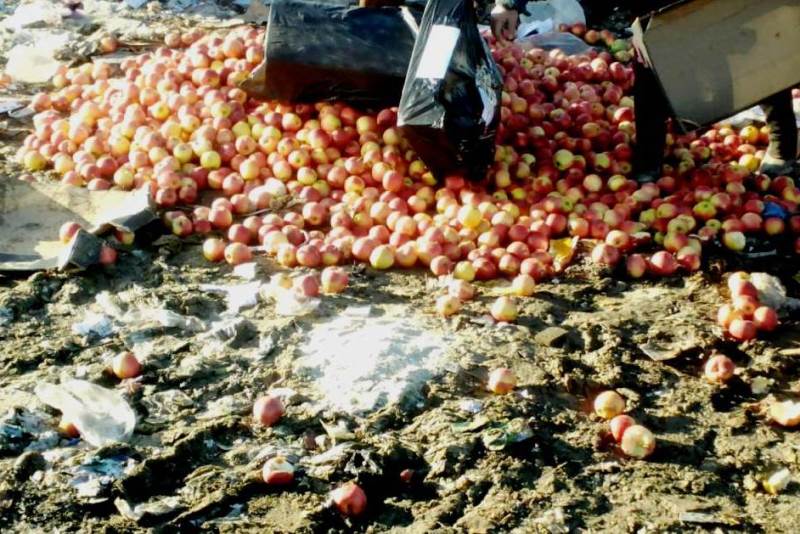 В Дагестане сотрудники Россельхознадзора уничтожили более 800 кг яблок из Европы