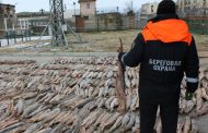 В Дагестане задержали крупную партию осетра на 34 млн рублей