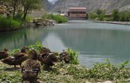 Камал Салманов: «Развитие туризма может сохранить горцев в горах Дагестана»