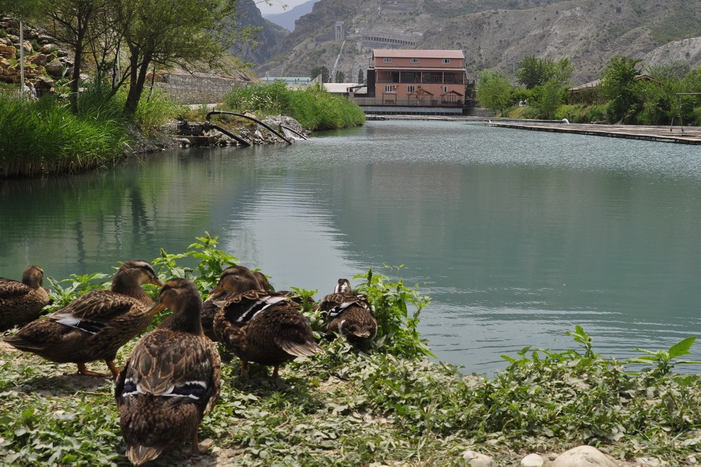 В Казбековском районе Дагестана закрыт доступ ко всем туристическим объектам