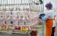 Дагестан планирует поставлять мясо птицы в зарубежные страны