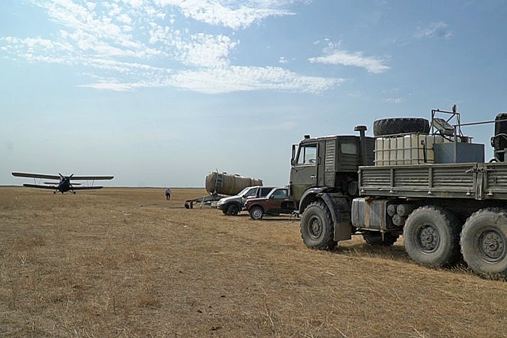 Минсельхоз Дагестана: обработано 80% территории, зараженной саранчой