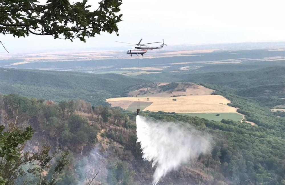 Более 130 человек продолжают тушить три крупных лесных пожара в Дагестане