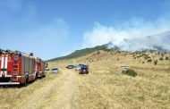 Проблемой пожаров в лесах Дагестана пришлось оперативно заняться правительству
