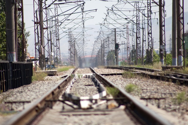 С начала года в Дагестане зафиксировано около 90 случаев наезда поездов на бродячий скот