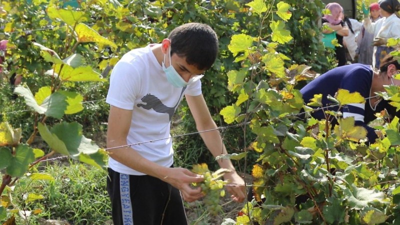 Службы занятости Дагестана в рамках госпрограммы трудоустраивают школьников