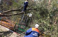 Сильный ветер в Махачкале снес кровли домов и повалил деревья