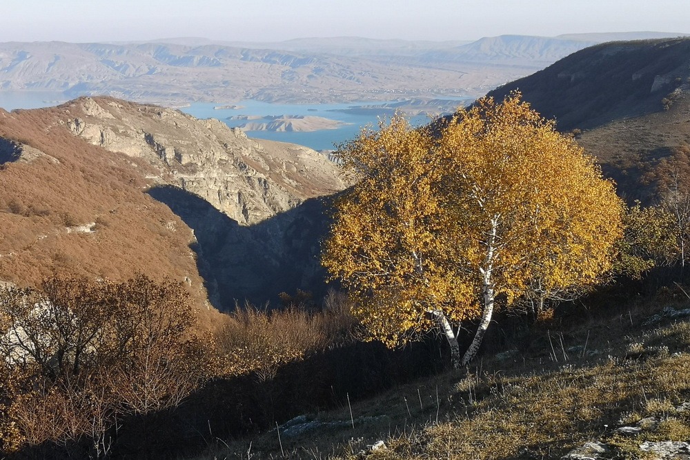 Гидрометцентр: теплая погода продержится в Дагестане до 8 ноября