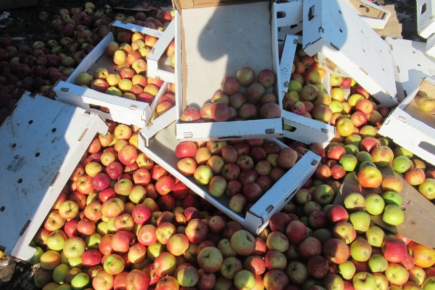 На рынке продуктов наблюдается рост цен на апельсины