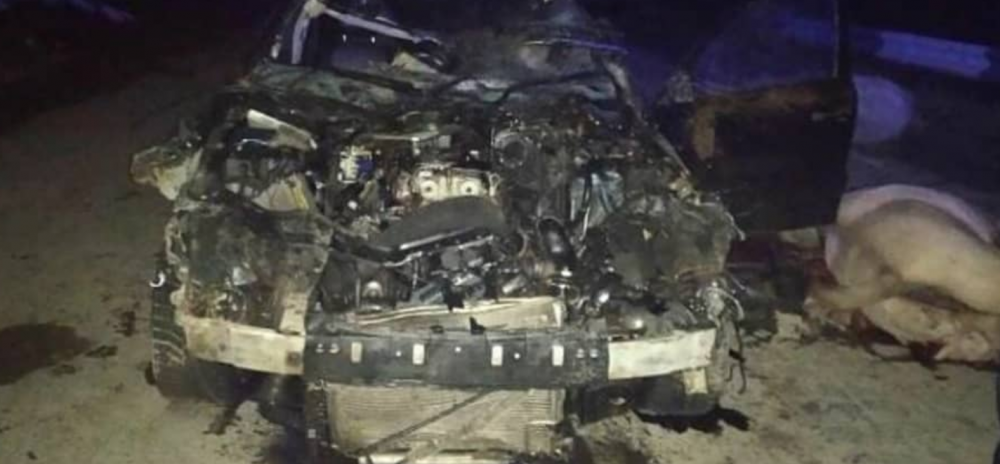 В Тарумовском районе водитель погиб после столкновения его «мерседеса» с лошадью