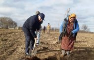 В Дагестане заложено 3,7 тысячи гектаров интенсивных садов