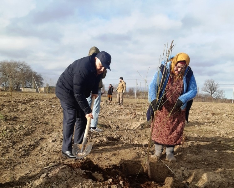 В Дагестане заложено 3,7 тысячи гектаров интенсивных садов