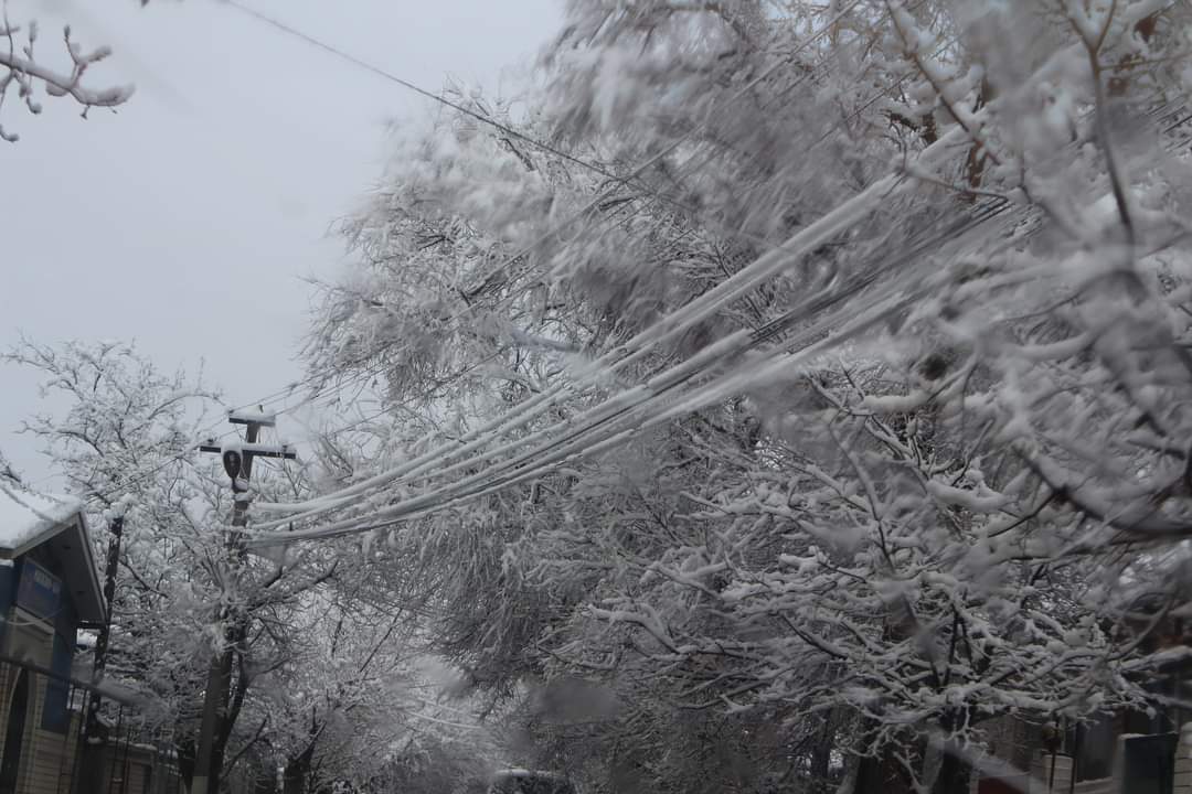 В Дагестане из-за мокрого снега произошли массовые отключения электроэнергии