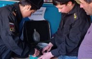 Акция «Армейский чемоданчик» проходит в школах Дахадаевского района