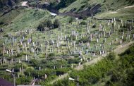 Росстат: смертность в Дагестане в 2020 году выросла на 34%