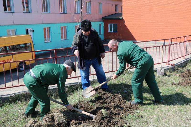 В Казбековском районе началась акция «Сад Памяти»