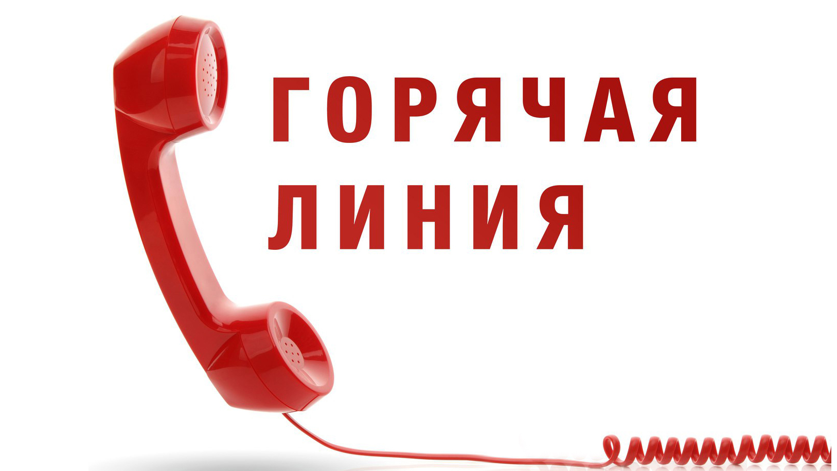 Порядок Интернет Магазин Горячая Линия