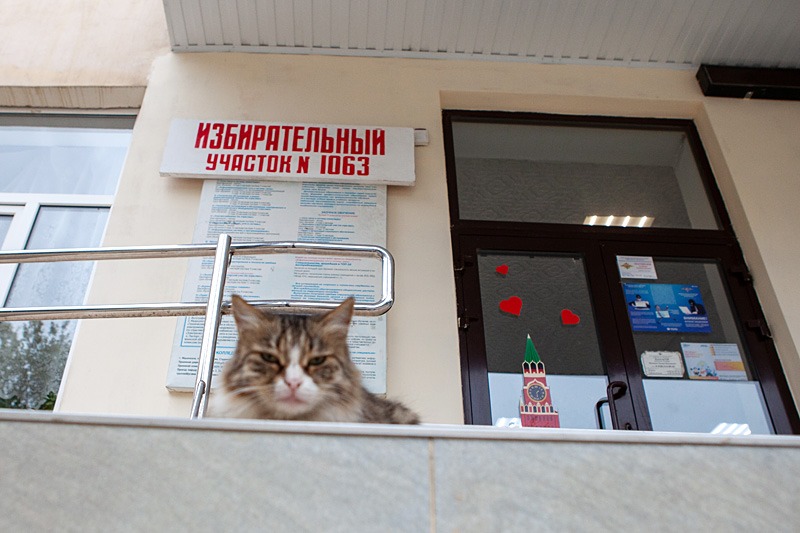 Ленин, коты, ревнивый избиратель. Курьезы и «мимими» на выборах в Дагестане