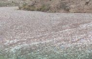 Росприроднадзор подсчитал объем мусора, скопившегося в Андийском Койсу и Ирганайском водохранилище