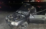 Столкновение «Хёндэ» с лошадью закончилось смертью пассажира машины