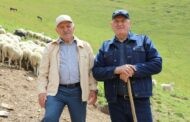 Свыше 300 млн рублей выделило государство овцеводам Дагестана