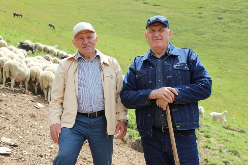 Свыше 300 млн рублей выделило государство овцеводам Дагестана