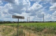 Дагестанцу дали условный срок за незаконную продажу земельного участка