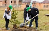 Заключительный в этом году этап всероссийской акции «Сохраним лес» прошел в Дагестане