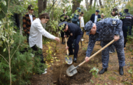 В Дагестане росгвардейцы высадили деревья в память о погибших коллегах