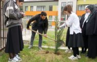 Акцию «Школьные сады памяти» поддержали в баршамайской школе Кайтагского района