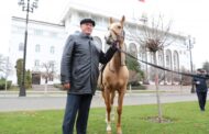 Дагестан подарил породистых лошадей Луганской ДЮСШ по конному спорту
