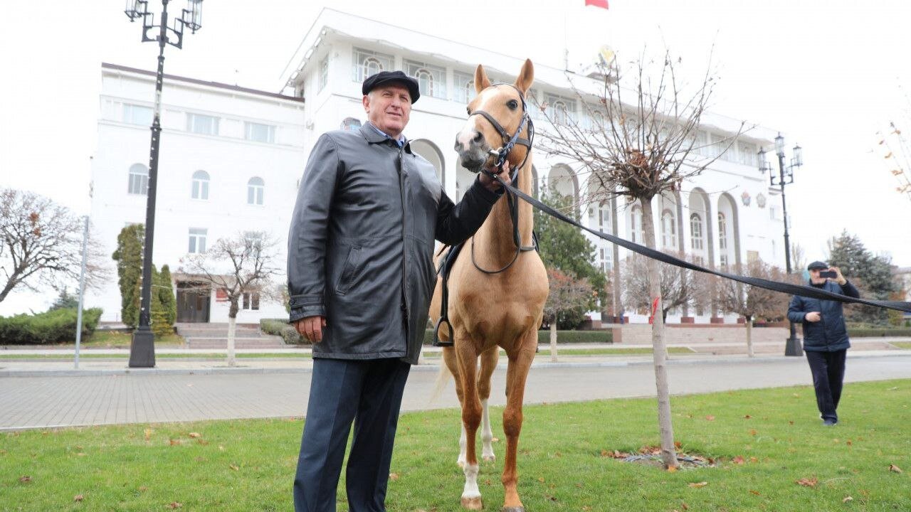 Дагестан подарил породистых лошадей Луганской ДЮСШ по конному спорту